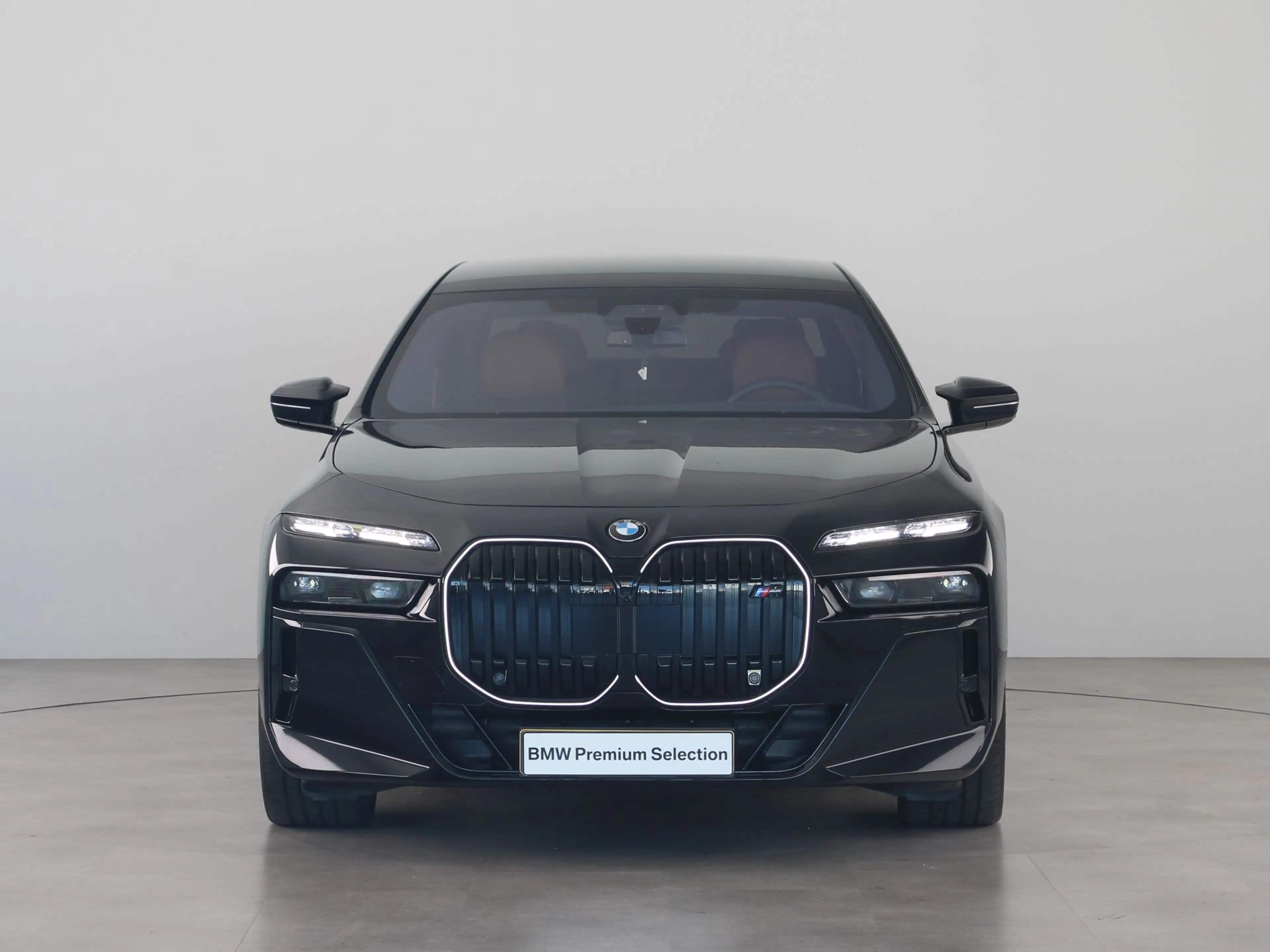 BMW 760 7 Serie M760e xDrive — photo 8