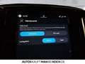 Volvo XC40 Black Edition B4 Mild-Hybrid Benzin Ultra Schwarz - thumbnail 27