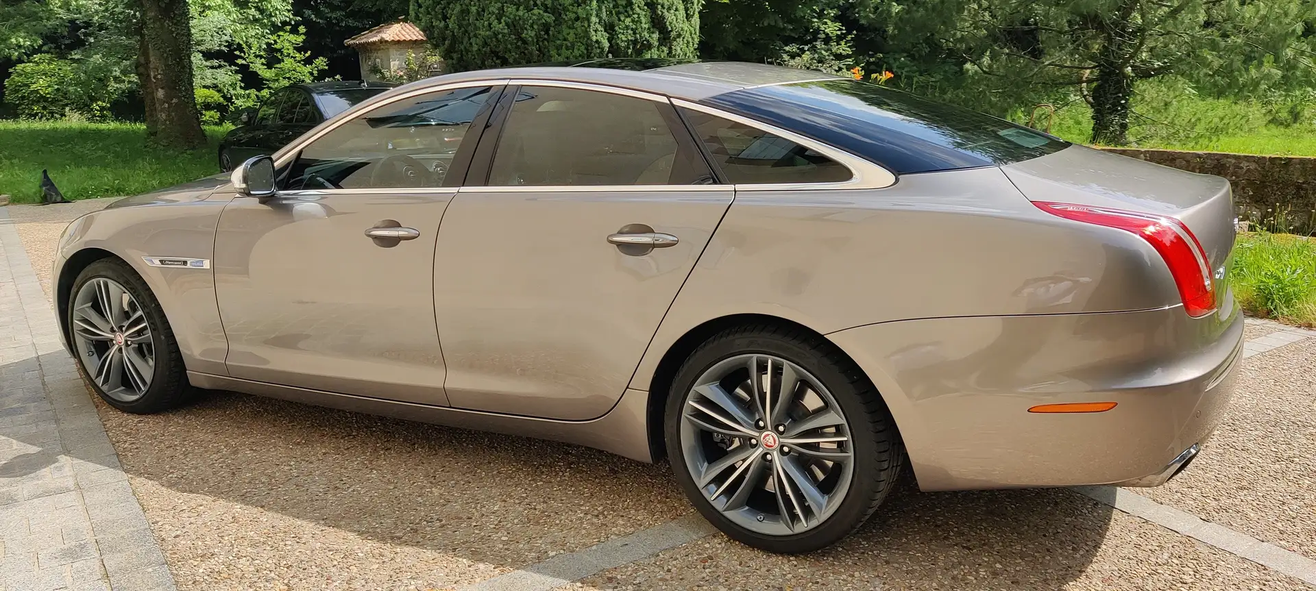 Jaguar XJ XJ V8 5.0 SuperSport Bronze - 2