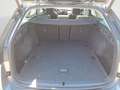 Skoda Octavia Combi 1,5 TSI mHEV DSG Selection PanoDac Grau - thumbnail 8