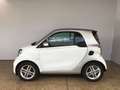 smart forTwo smart EQ fortwo Exclusive/22 kW/JBL/Pano/Passion Weiß - thumbnail 2