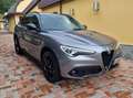 Alfa Romeo Stelvio 2.0 190cv auto SPECIAL EDITION Grigio - thumbnail 3