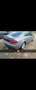 Audi A5 3.0 V6 TDI 240 DPF Quattro Ambiente - thumbnail 2