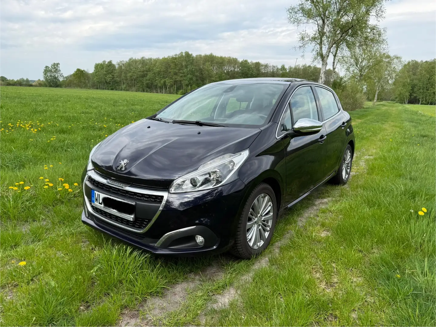 Peugeot 208 PureTech 110 Allure 2. Hand Panorama Blau - 2
