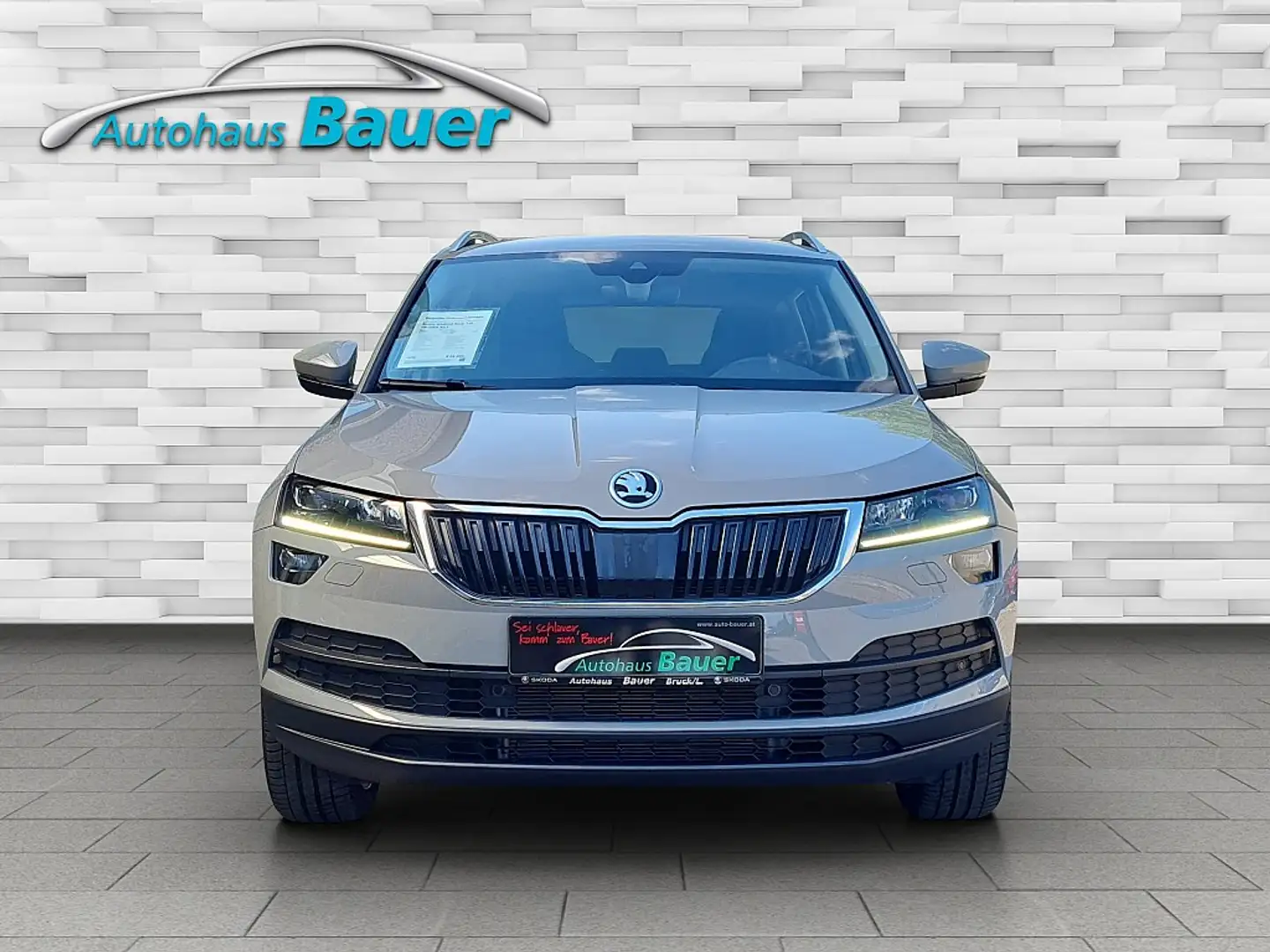 Skoda Karoq 1,5 TSI Style 125 DSG Grau - 2