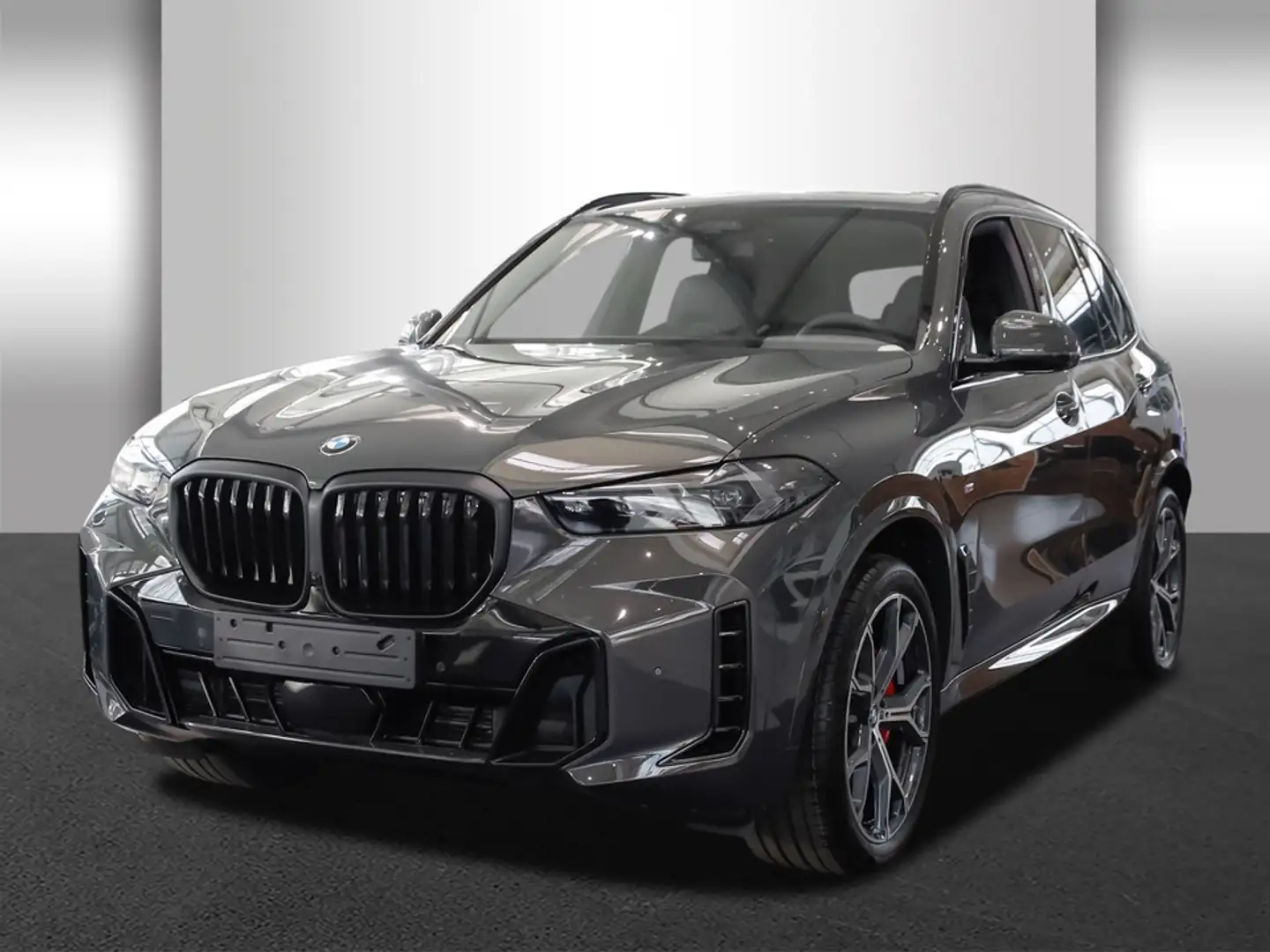 BMW X5 xDrive40d M Sportpaket Innovationsp. Panorama Grau - 2