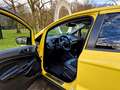 Ford EcoSport Titanium Klima Sitzheizung Tempo žuta - thumbnail 9