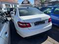Mercedes-Benz E 220 Lim. CDI AVANTGARDE *MOTOR OK*AIRBAGS ZU* Weiß - thumbnail 2