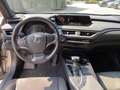 Lexus UX 250h Style *Sitzhezung, Lenkradheizung, uvm.* Zilver - thumbnail 10