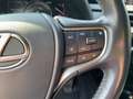 Lexus UX 250h Style *Sitzhezung, Lenkradheizung, uvm.* Zilver - thumbnail 18