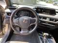 Lexus UX 250h Style *Sitzhezung, Lenkradheizung, uvm.* Zilver - thumbnail 11