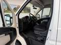 Citroen Jumper 7 posti Cassonato Bianco - thumbnail 9
