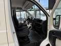 Citroen Jumper 7 posti Cassonato Bianco - thumbnail 12
