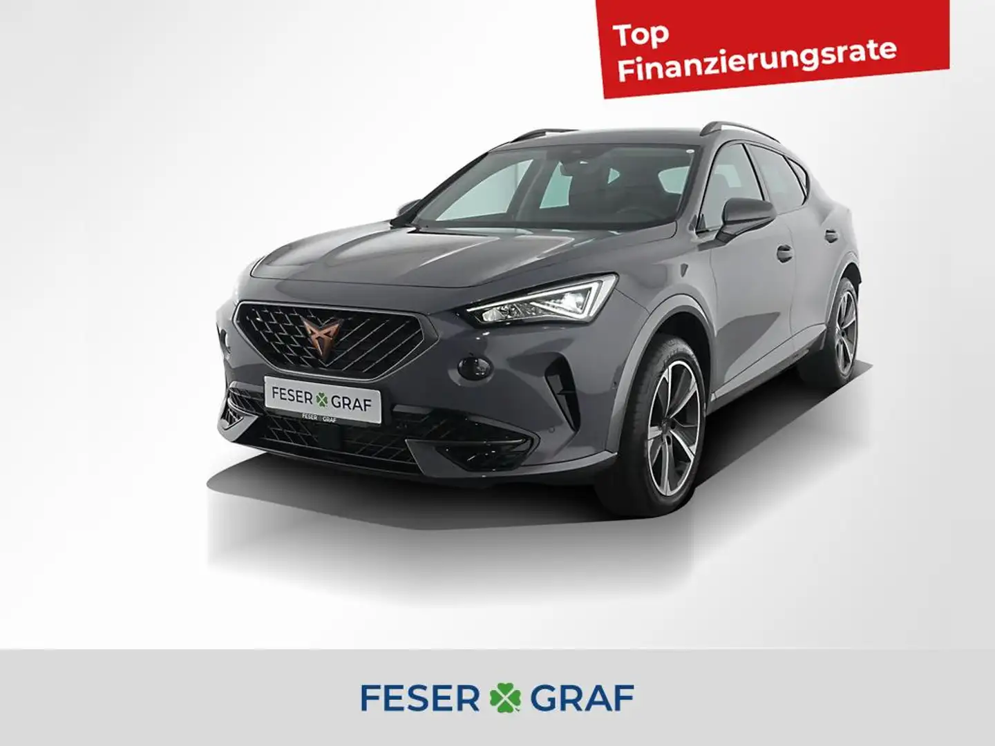 CUPRA Formentor ACC ParkAssist V-Cockpit SHZ Klima 18" Grau - 1