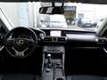Lexus IS 300 300h 25th Edition|Xenon|Navi|Cruise|Cam|Stoelverwr Blue - thumbnail 12