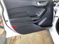 Ford Fiesta 1.0 EB Hybrid S&S Aut. TITANIUM Navi Wi-Pa Weiß - thumbnail 12