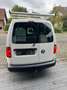 Volkswagen Caddy Maxi Kasten 4Motion Sortimo Klima AHK 80Tkm MwSt Weiß - thumbnail 4