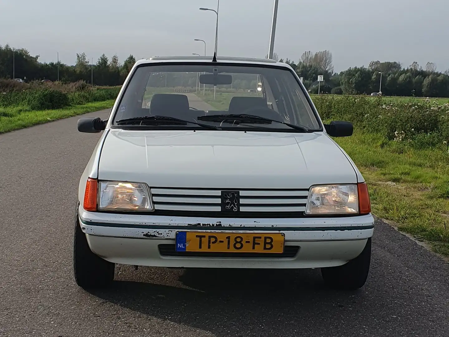 Peugeot 205 Green 1.6 1988 1.6 Rallye motor Wit - 2