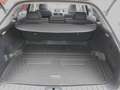 Lexus RX 450h RX 450h 3.5 VERA LUXURY+G.TRAINO CON IVA 22% Gümüş rengi - thumbnail 22