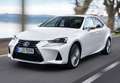 Lexus IS 300 300h Business Blanco - thumbnail 4