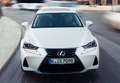 Lexus IS 300 300h Business Blanco - thumbnail 3