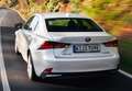 Lexus IS 300 300h Business Blanco - thumbnail 17