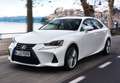 Lexus IS 300 300h Business Blanco - thumbnail 5
