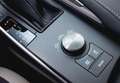 Lexus IS 300 300h Business Blanco - thumbnail 20