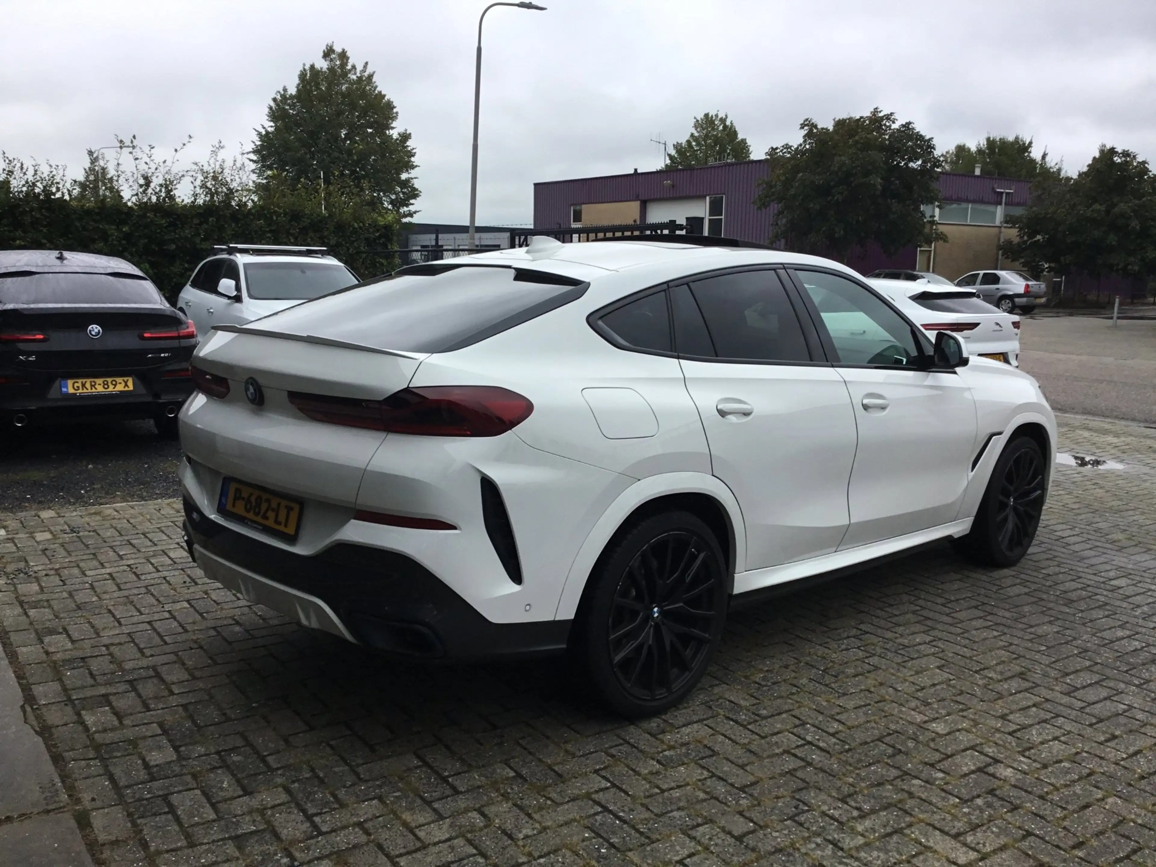 BMW X6 XDrive40i High Executive — photo 6