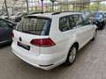 Volkswagen Golf VII 1.6 TDI Comfortl App|ParkPilot|Sitzhz Weiß - thumbnail 5