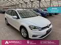Volkswagen Golf VII 1.6 TDI Comfortl App|ParkPilot|Sitzhz Weiß - thumbnail 1