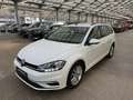 Volkswagen Golf VII 1.6 TDI Comfortl App|ParkPilot|Sitzhz Weiß - thumbnail 3