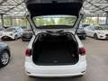 Volkswagen Golf VII 1.6 TDI Comfortl App|ParkPilot|Sitzhz Weiß - thumbnail 6