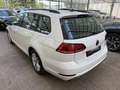 Volkswagen Golf VII 1.6 TDI Comfortl App|ParkPilot|Sitzhz Weiß - thumbnail 4