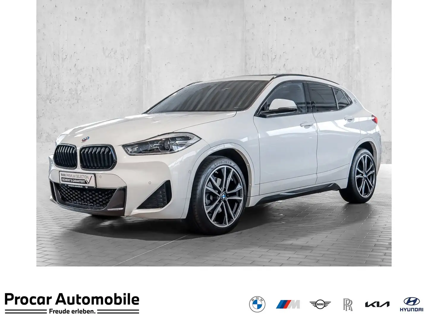 BMW X2 sDrive18i MSport Pano Navi Kamera LED Hifi 19"LM Bianco - 1