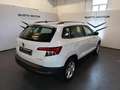 Skoda Karoq 1.0 TSI Executive Bianco - thumbnail 6