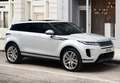 Land Rover Range Rover Evoque 2.0TD4 Pure 4WD 150 Weiß - thumbnail 47