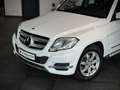 Mercedes-Benz GLK 250 *1.Hand*Panorama*Holz Wurzelnuss* Weiß - thumbnail 2