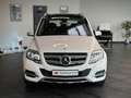 Mercedes-Benz GLK 250 *1.Hand*Panorama*Holz Wurzelnuss* Weiß - thumbnail 4