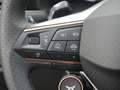 CUPRA Formentor VZ 2.0 TSI 4Drive PANO MATRIX-LED Azul - thumbnail 16