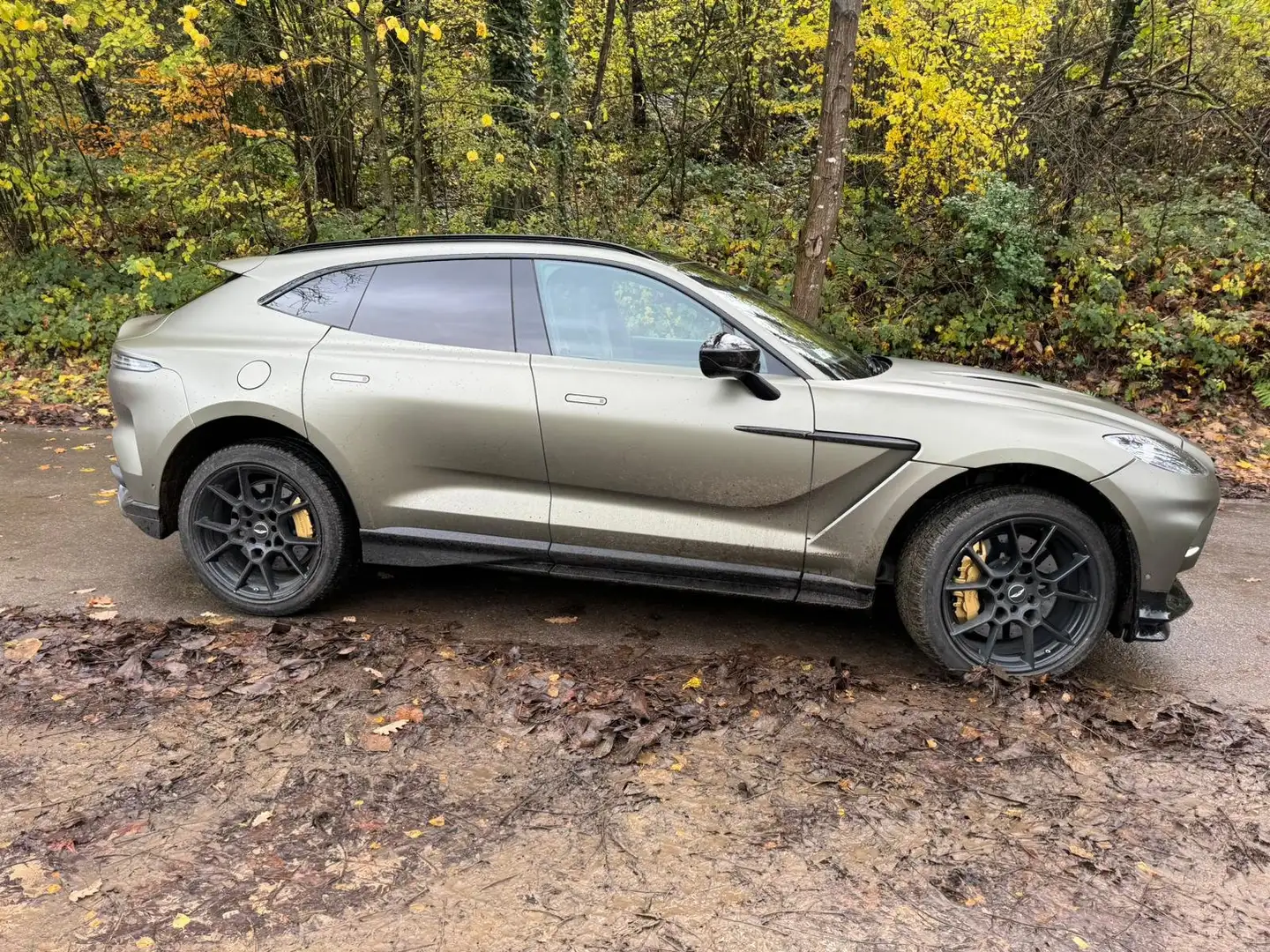 Aston Martin DBX Bronze - 1