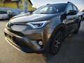Toyota RAV 4 Hybrid Edition Braun - thumbnail 1