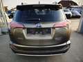 Toyota RAV 4 Hybrid Edition Braun - thumbnail 5