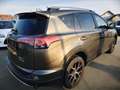 Toyota RAV 4 Hybrid Edition Braun - thumbnail 4