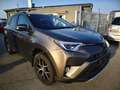 Toyota RAV 4 Hybrid Edition Braun - thumbnail 3