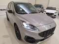 Ford Kuga * New ST Line X / Black Edition - * Grigio - thumbnail 16