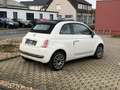 Fiat 500C Lounge/2.Hand/Tüv/Klima Weiß - thumbnail 5