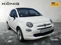 Fiat 500C Cabrio Basis Carplay*LM-Felgen*Klima Weiß - thumbnail 2