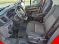 Ford Transit Custom 340 L2 Trend / NAVI / KAMERA / REGALE / lang Rouge - thumbnail 9