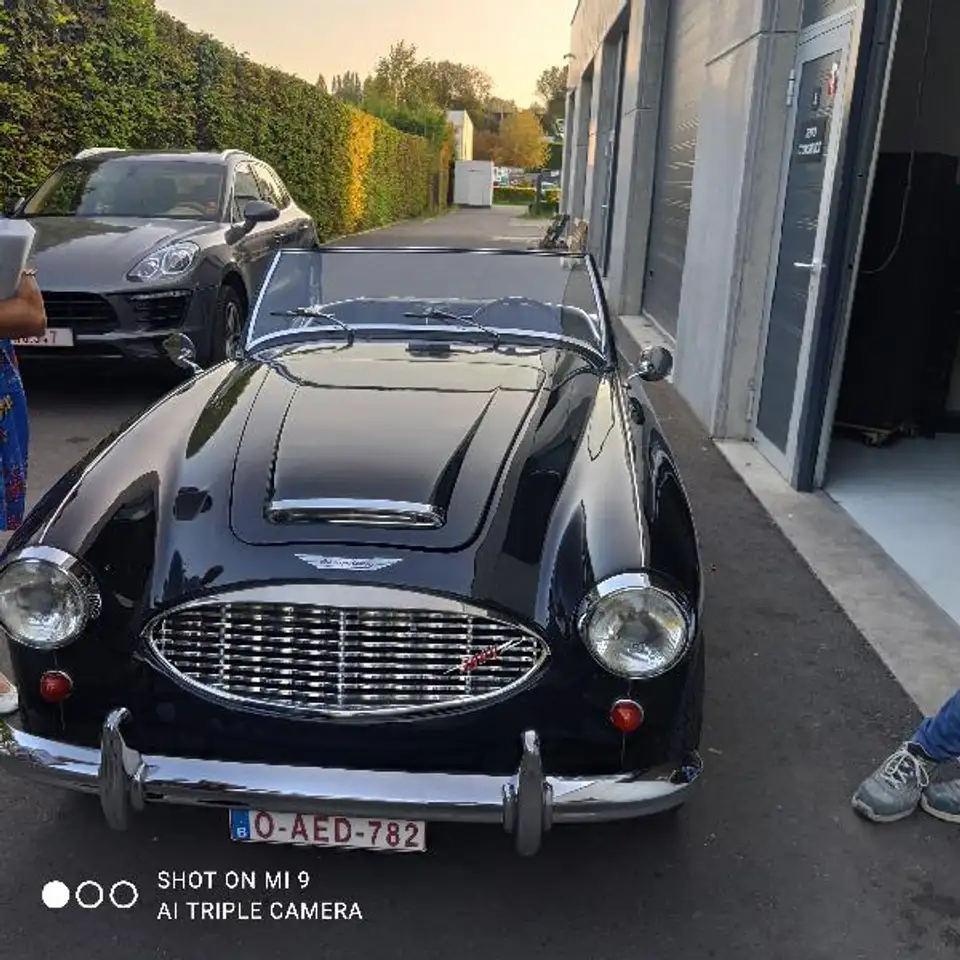Austin-Healey 3000 MkI BT7 (2+2), foto 5